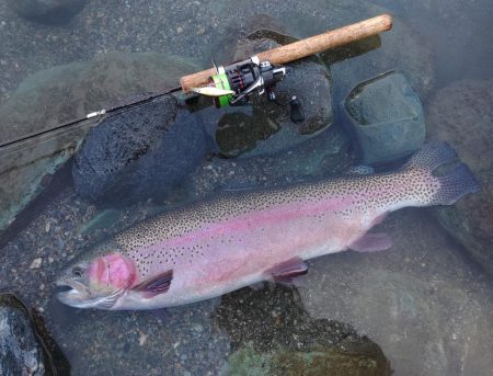 ７０オーバーキャッチ！ ～天竜川ルアーフラ…